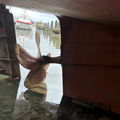 Thumbnail for picture 13