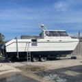 Extra picture for advert 146236