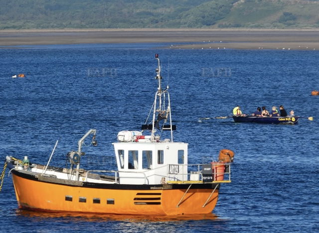 Large picture for advert 143239