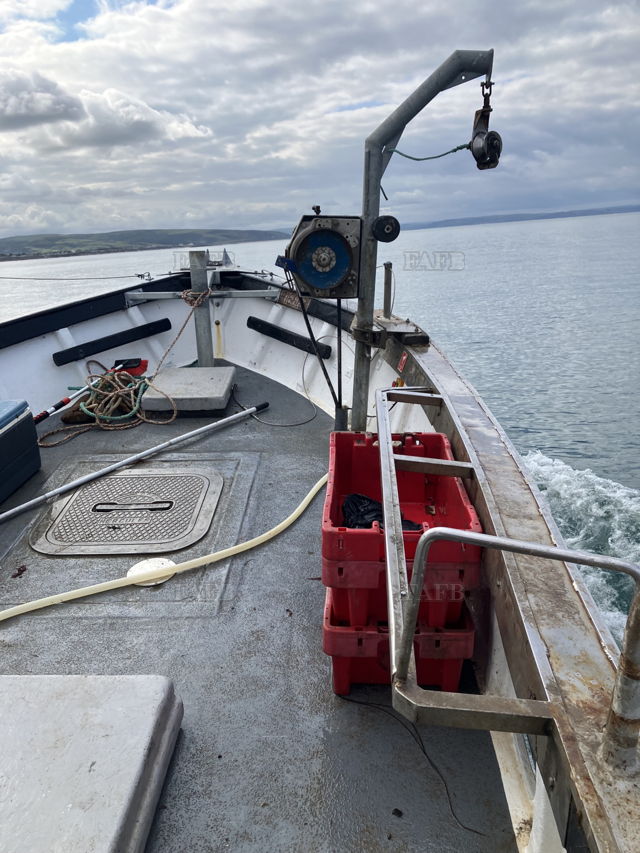 Large picture for advert 143239