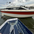 Extra picture for advert 148024