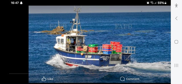 Large picture for advert 140240