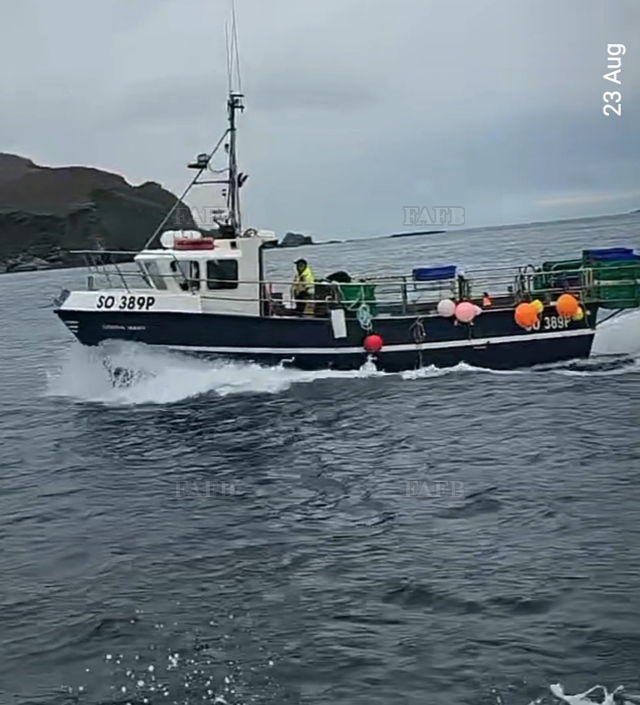 Large picture for advert 140240