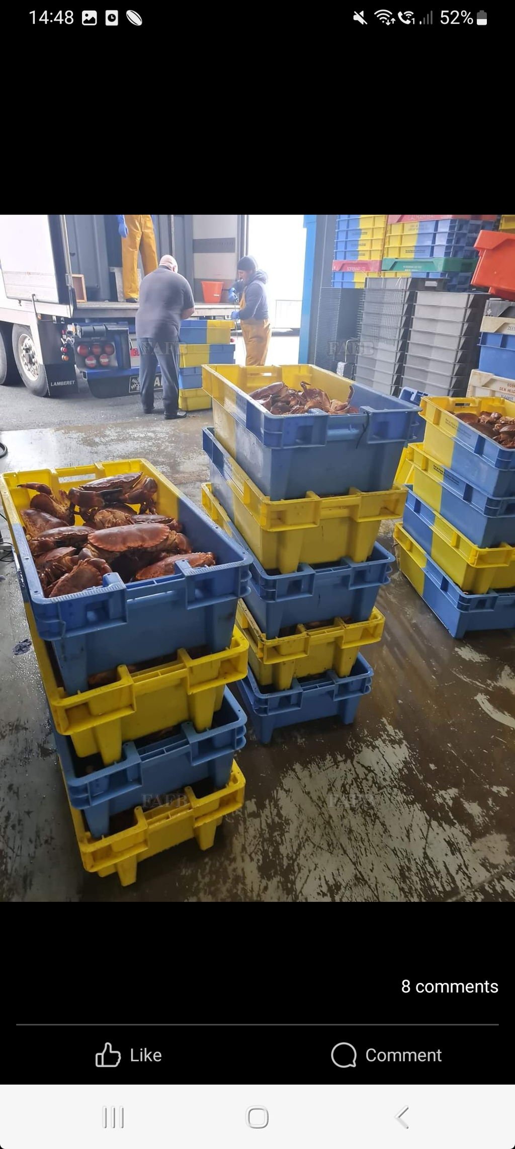 700 fish boxes for sale