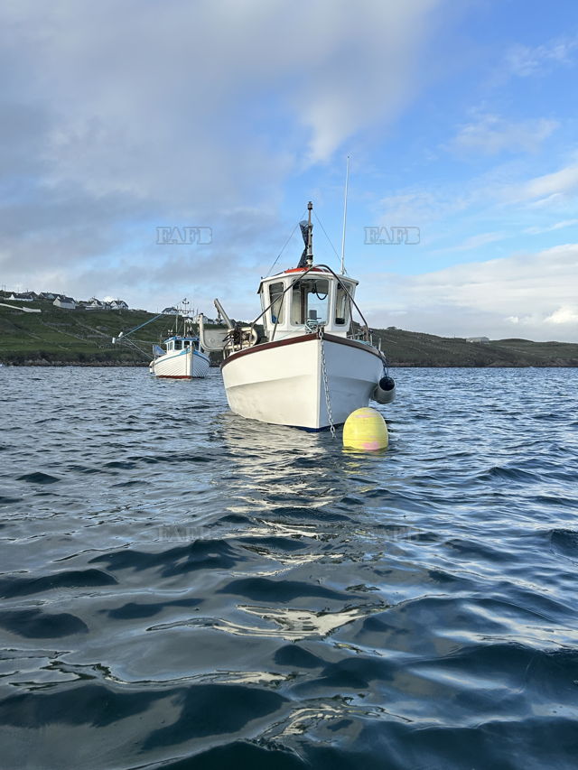 Large picture for advert 147245