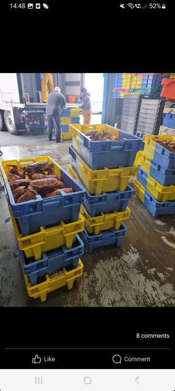 700 fish boxes for sale