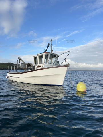 Main picture for advert 147245