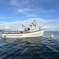 Extra picture for advert 147245