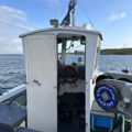 Extra picture for advert 147245