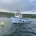 Extra picture for advert 147245