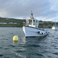 Extra picture for advert 147245