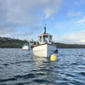 Extra picture for advert 147245