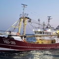 Extra picture for advert 141246