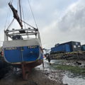 Extra picture for advert 147246