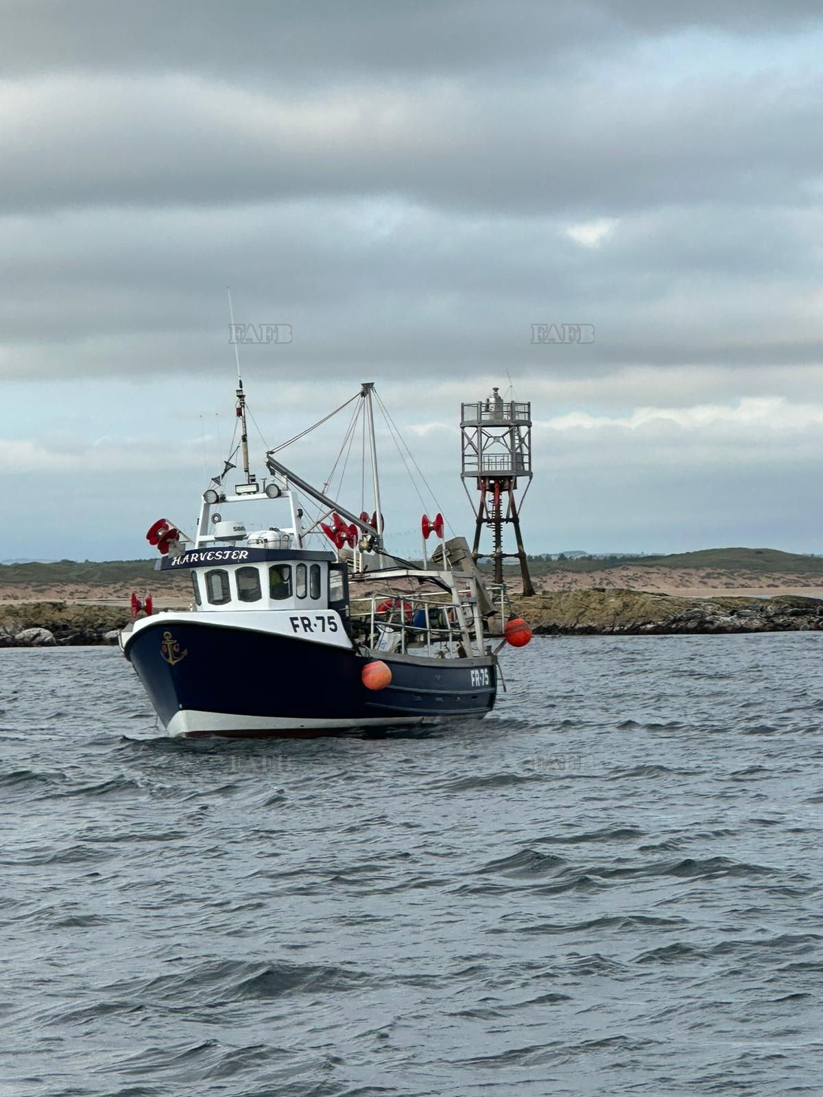 Large picture for advert 148248