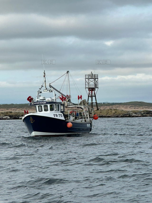 Large picture for advert 148248