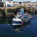 Extra picture for advert 148248