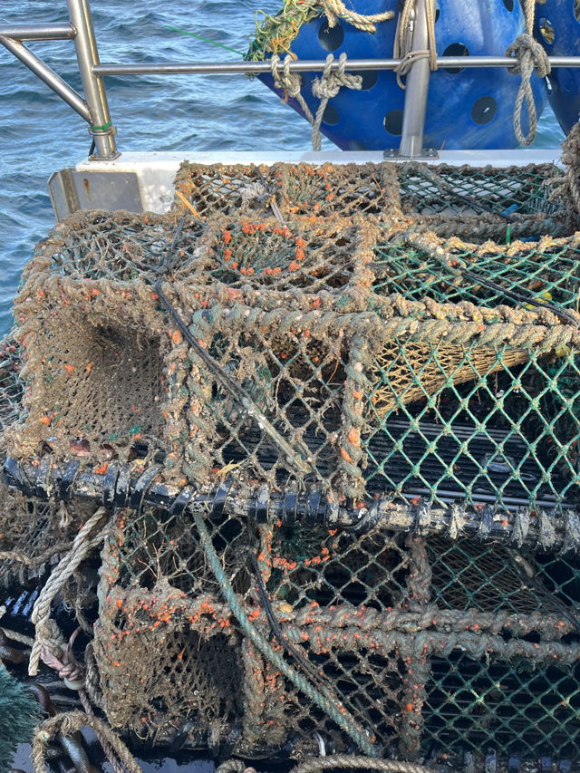 Large picture for advert 144025