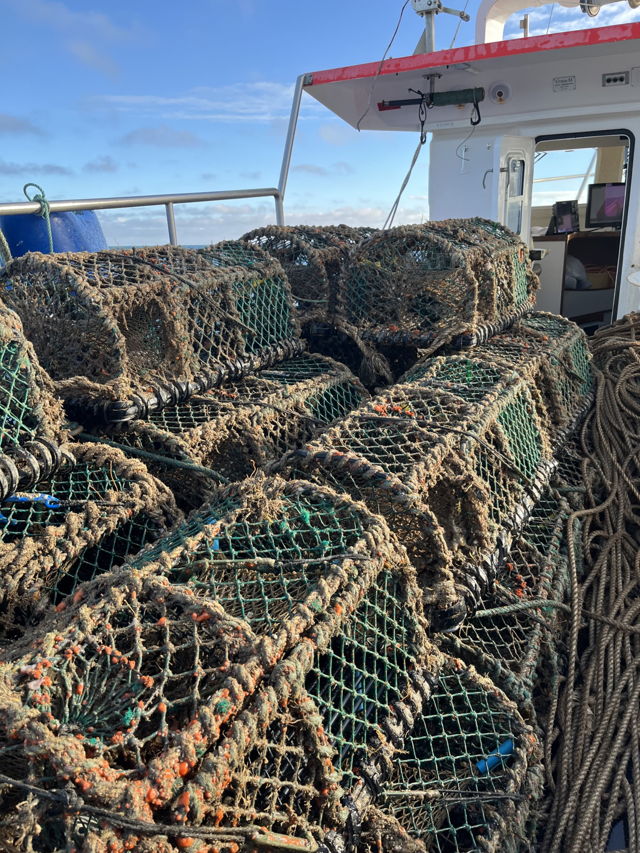 Large picture for advert 144025