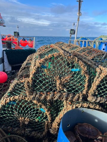 Caithness 36 inch parlours