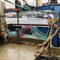 Extra picture for advert 149025