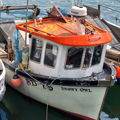 Extra picture for advert 146250