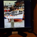 Extra picture for advert 146250