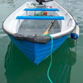 Extra picture for advert 148250