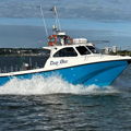 Extra picture for advert 147251