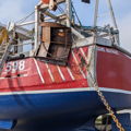 Extra picture for advert 146254