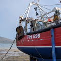 Extra picture for advert 146254