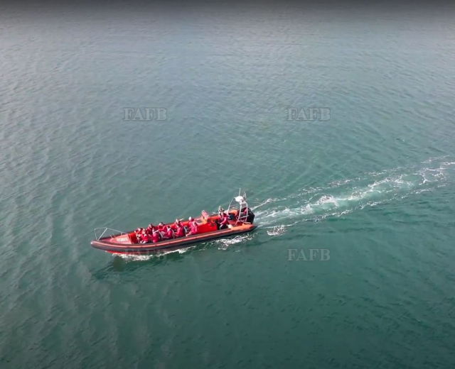 Large picture for advert 138257