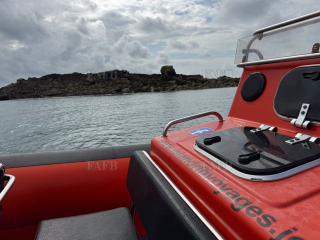 Large picture for advert 138257