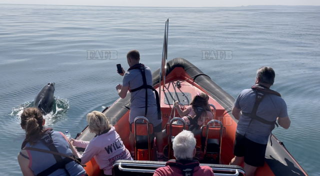 Large picture for advert 138257