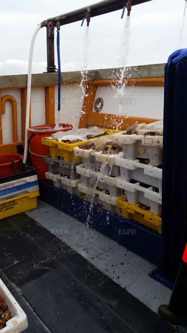 Large picture for advert 143257