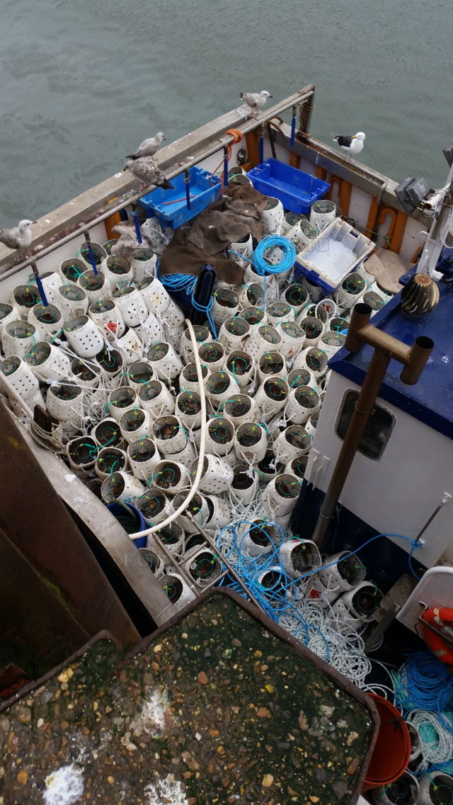 Large picture for advert 143257