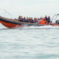 Thumbnail for picture 5
