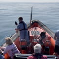 Thumbnail for picture 19
