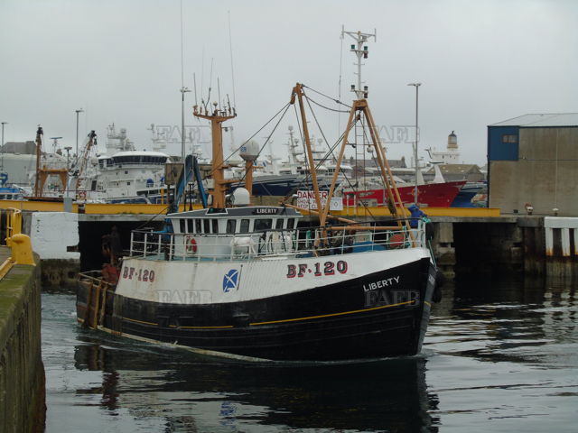 Large picture for advert 135259