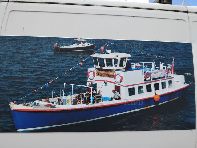 Large picture for advert 137259