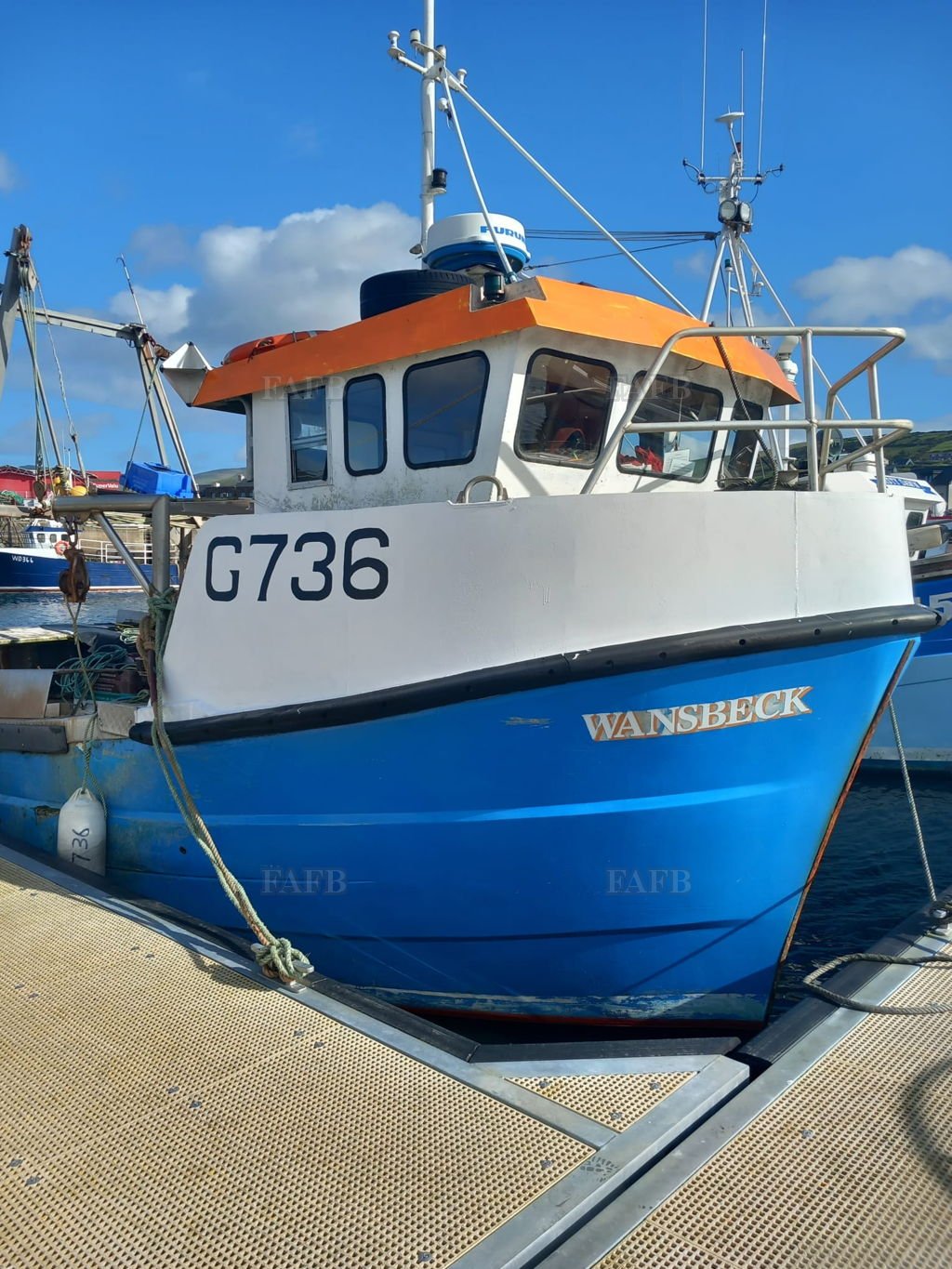 KingFisher 33