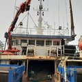 WET FISH STERN TRAWLER - picture 2