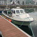 Extra picture for advert 148260