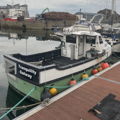 Extra picture for advert 148260