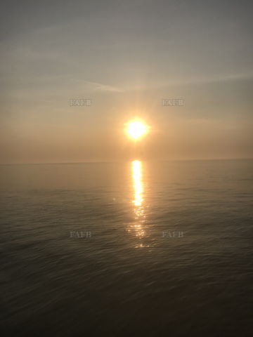 Main picture for advert 145262