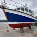 Extra picture for advert 147263