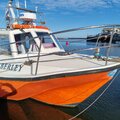 Offshore 105 - picture 7