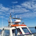 Offshore 105 - picture 8