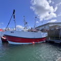 Extra picture for advert 148264
