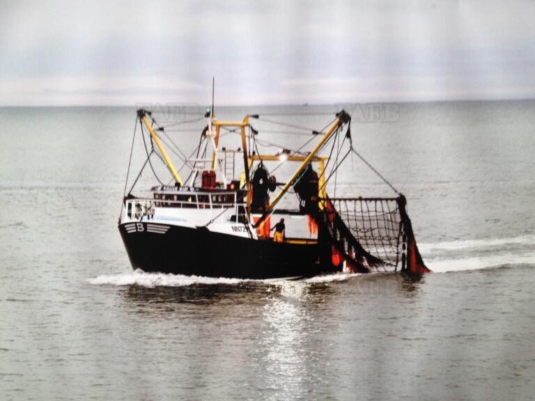Large picture for advert 107266